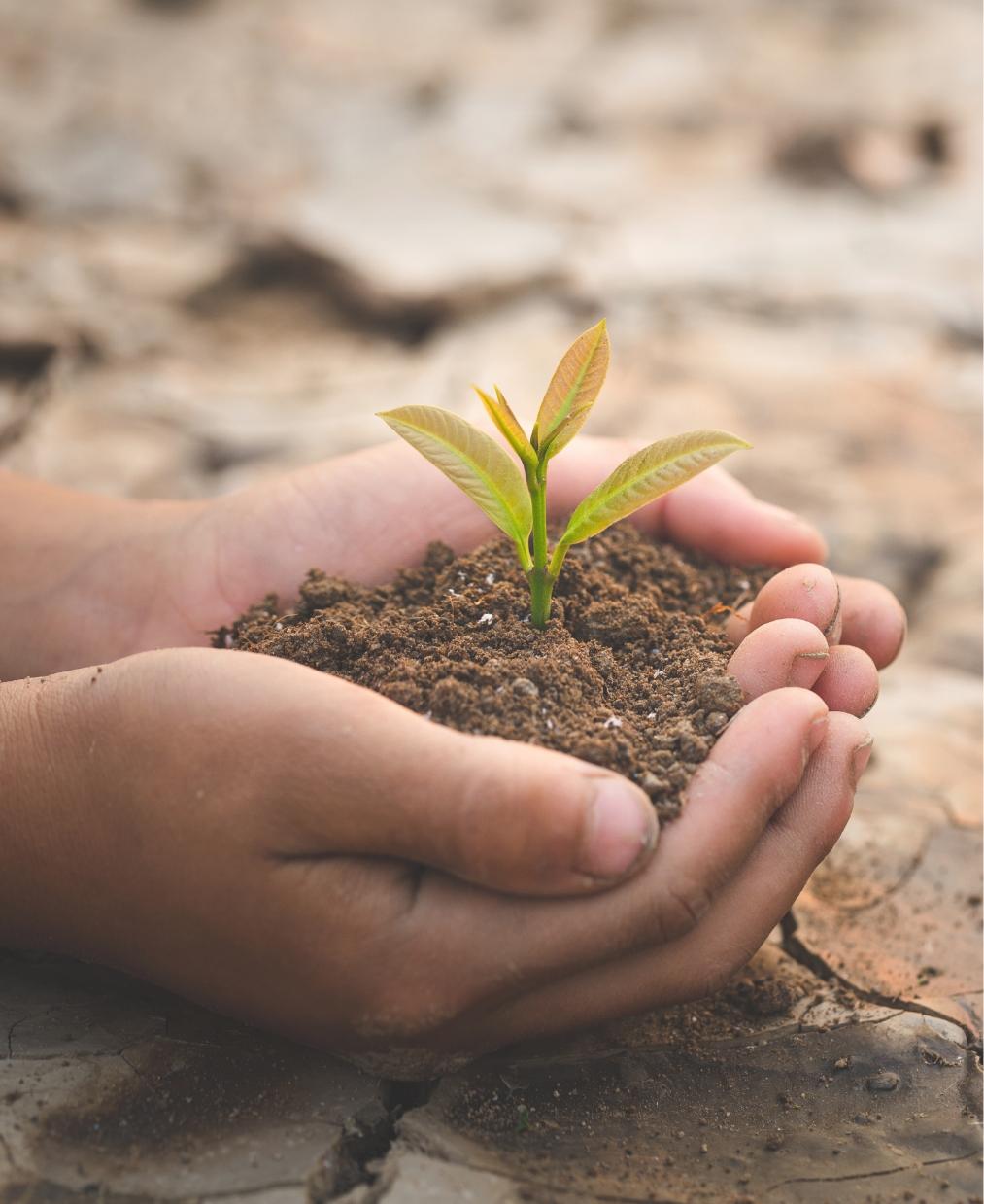 Nature’s Green Guardians Foundation